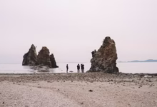 anywherestory .net