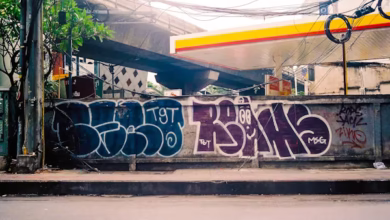 tomleonessa679